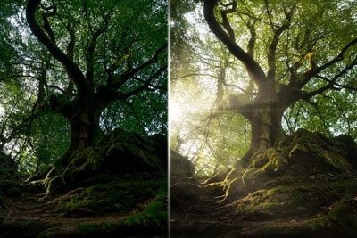 Curso Luminar NEO | RBG Escuela